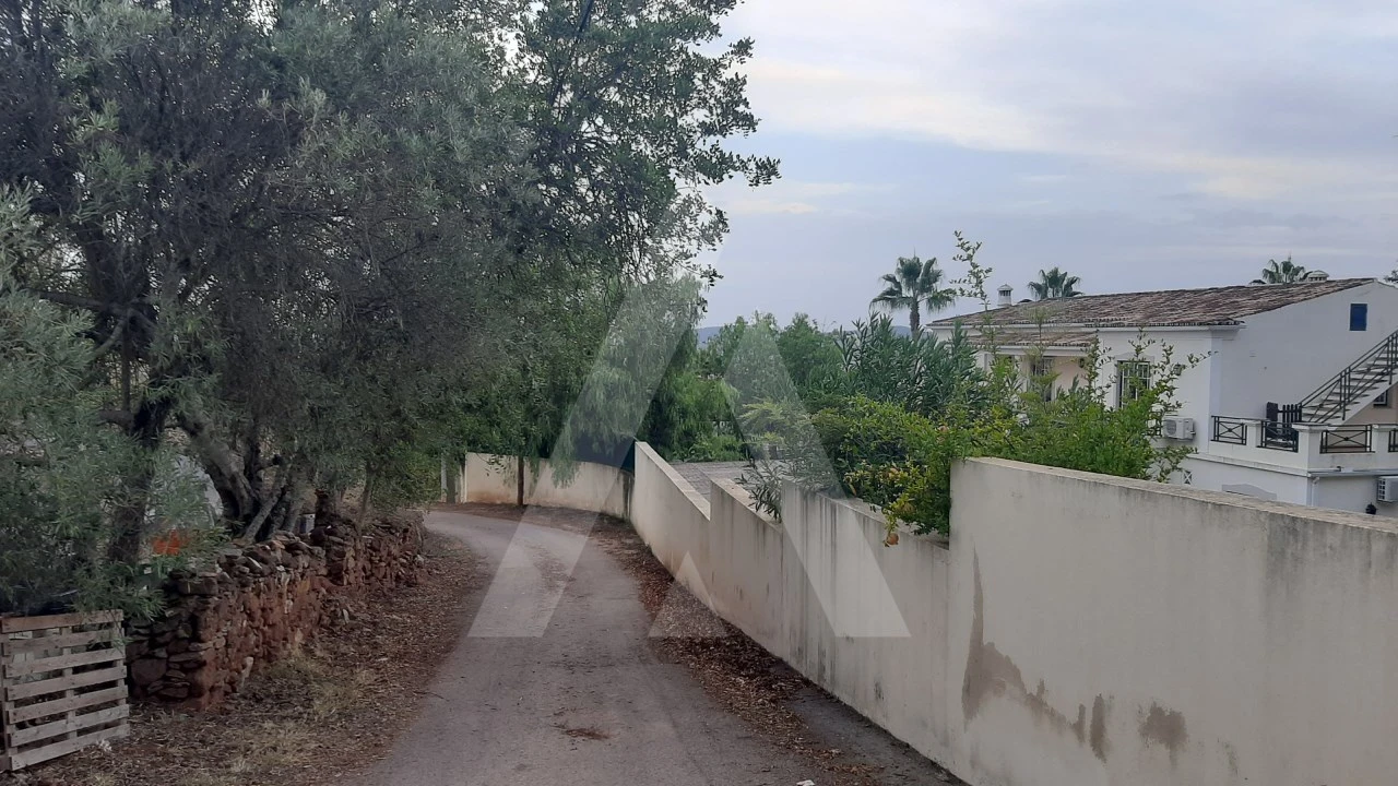 Terreno para Venda em São Brás de Alportel Foto 7