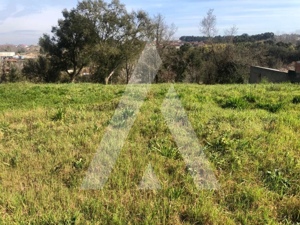Terreno para Venda em Amoreira da Gândara, Paredes do Bairro e Ancas Foto 1