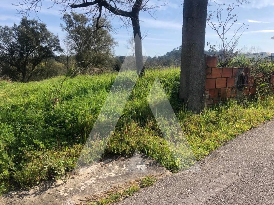 Terreno para Venda em Amoreira da Gândara, Paredes do Bairro e Ancas Foto 8