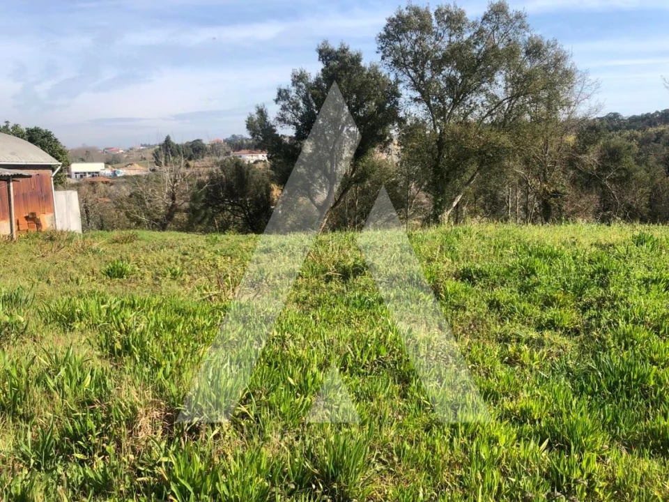 Terreno para Venda em Amoreira da Gândara, Paredes do Bairro e Ancas Foto 9