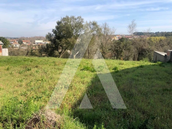 Terreno para Venda em Amoreira da Gândara, Paredes do Bairro e Ancas Foto 3