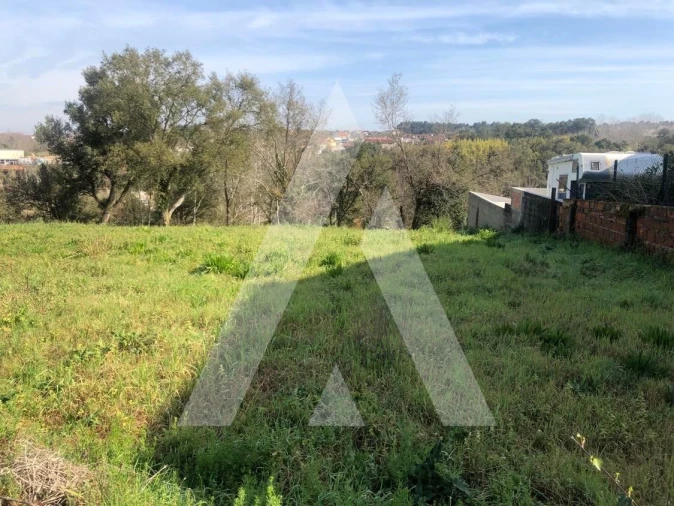 Terreno para Venda em Amoreira da Gândara, Paredes do Bairro e Ancas Foto 4