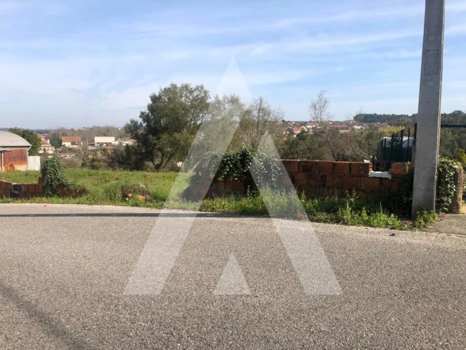 Terreno para Venda em Amoreira da Gândara, Paredes do Bairro e Ancas Foto 5