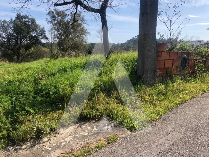Terreno para Venda em Amoreira da Gândara, Paredes do Bairro e Ancas Foto 8