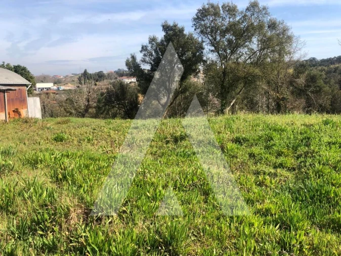 Terreno para Venda em Amoreira da Gândara, Paredes do Bairro e Ancas Foto 9