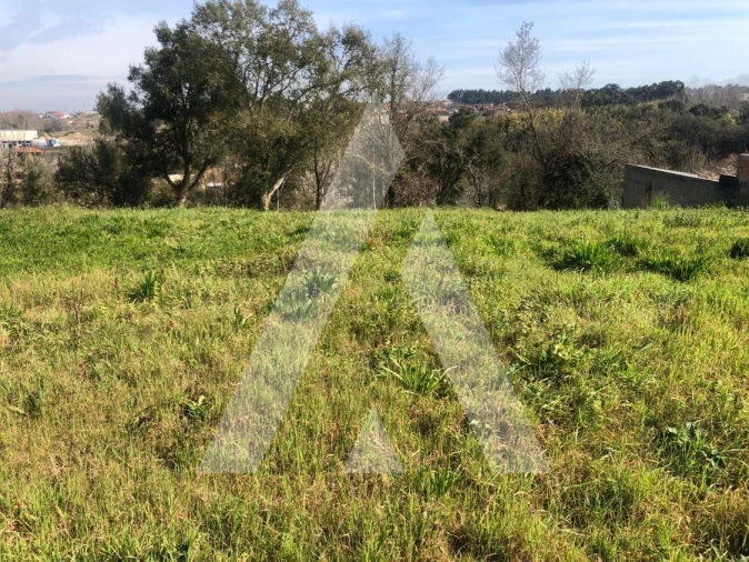 Terreno para Venda em Amoreira da Gândara, Paredes do Bairro e Ancas Foto 10