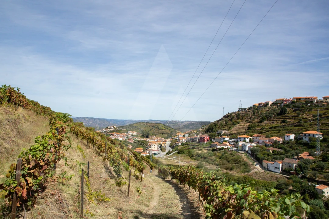 Terreno para Venda em Cambres Foto 5