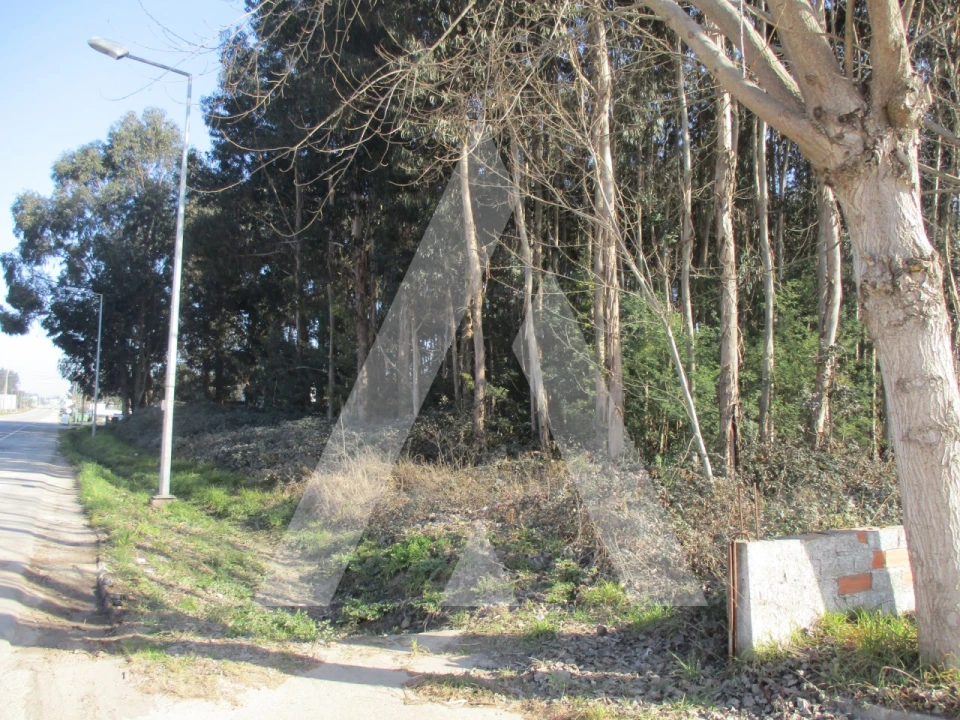 Terreno para Venda em Barrô e Aguada de Baixo Foto 7