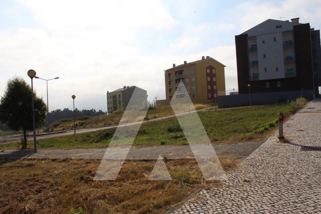 Terreno para Venda em Oliveira do Bairro Foto 6