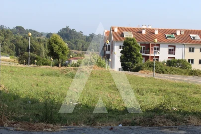 Terreno para Venda em Oliveira do Bairro