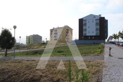 Terreno para Venda em Oliveira do Bairro