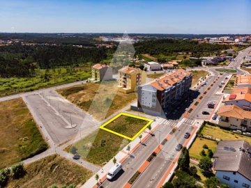 Terreno para Venda em Oliveira do Bairro