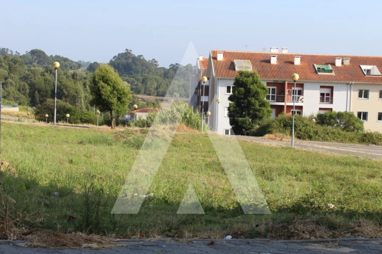 Terreno para Venda em Oliveira do Bairro Foto 3