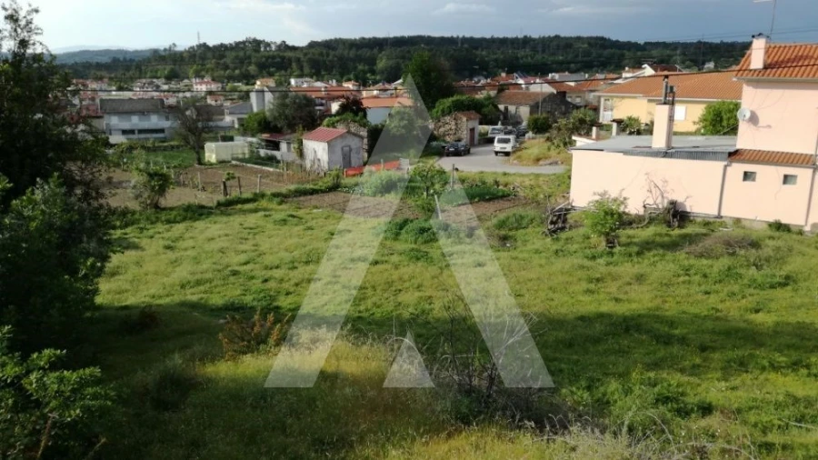 Terreno para Venda em Campo Foto 2