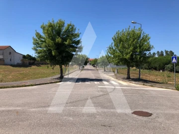 Terreno para Venda em Arcos e Mogofores