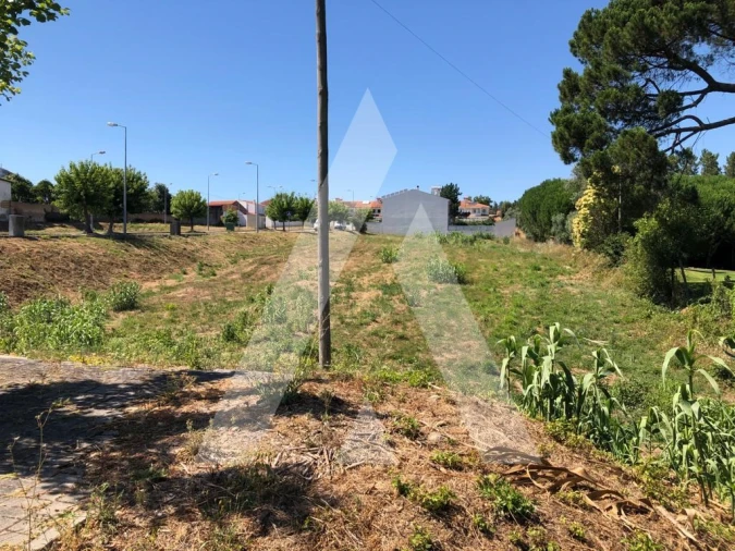Terreno para Venda em Arcos e Mogofores Foto 5