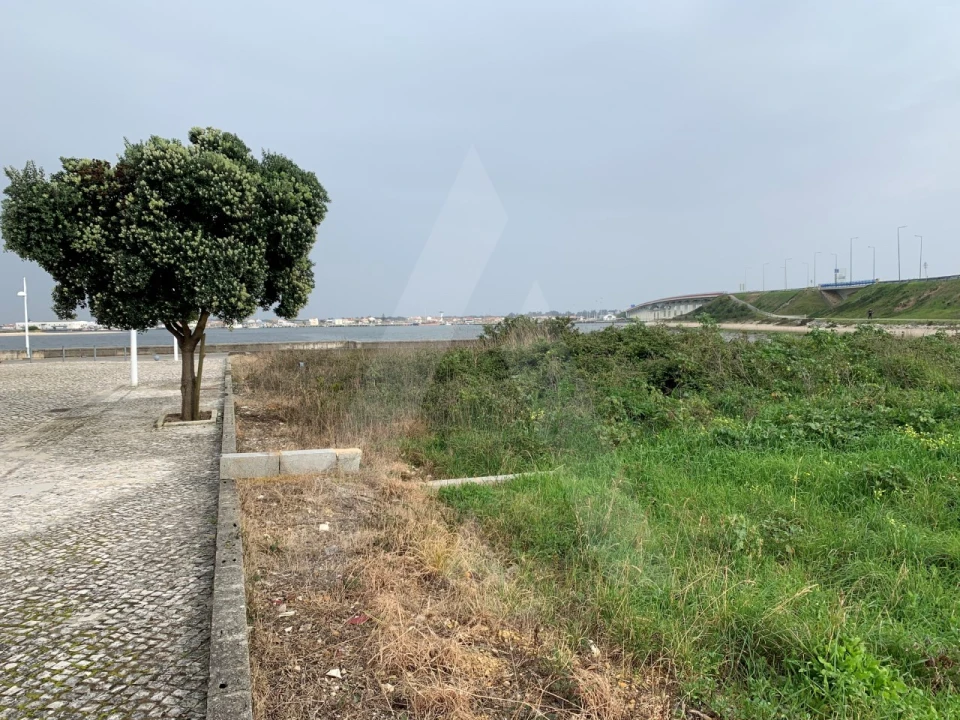 Terreno para Venda em Gafanha da Nazaré Foto 6