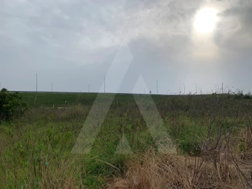 Terreno para Venda em Gafanha da Nazaré