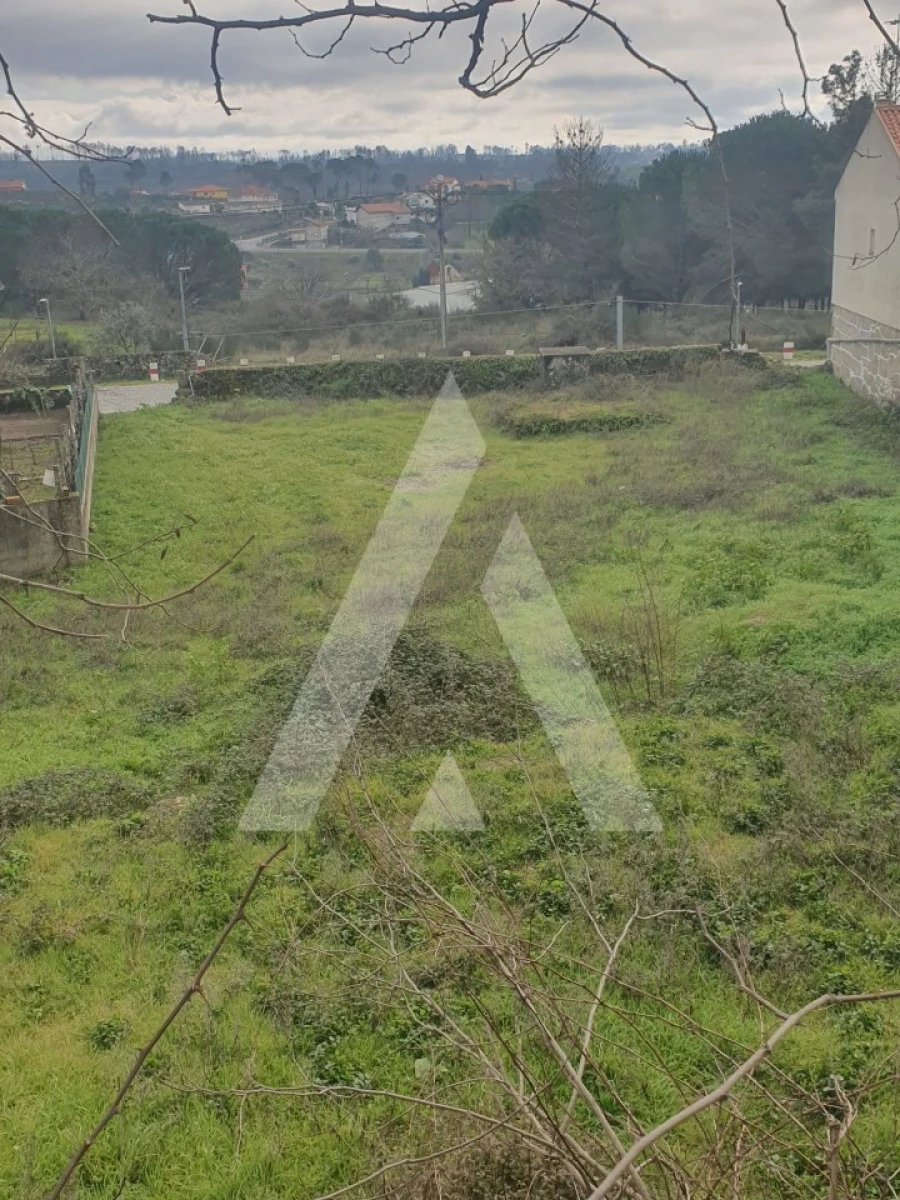 Terreno para Venda em Mangualde, Mesquitela e Cunha Alta Foto 12