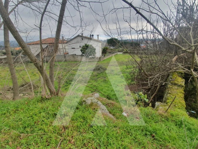 Terreno para Venda em Mangualde, Mesquitela e Cunha Alta Foto 6