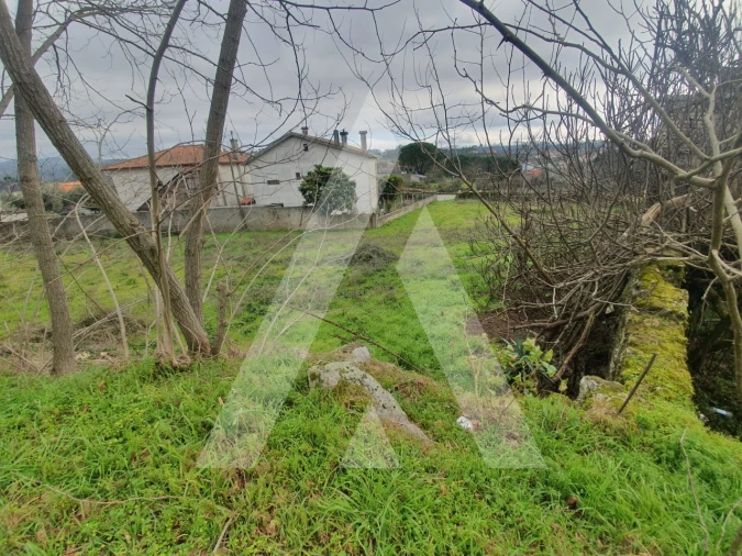 Terreno para Venda em Mangualde, Mesquitela e Cunha Alta Foto 8