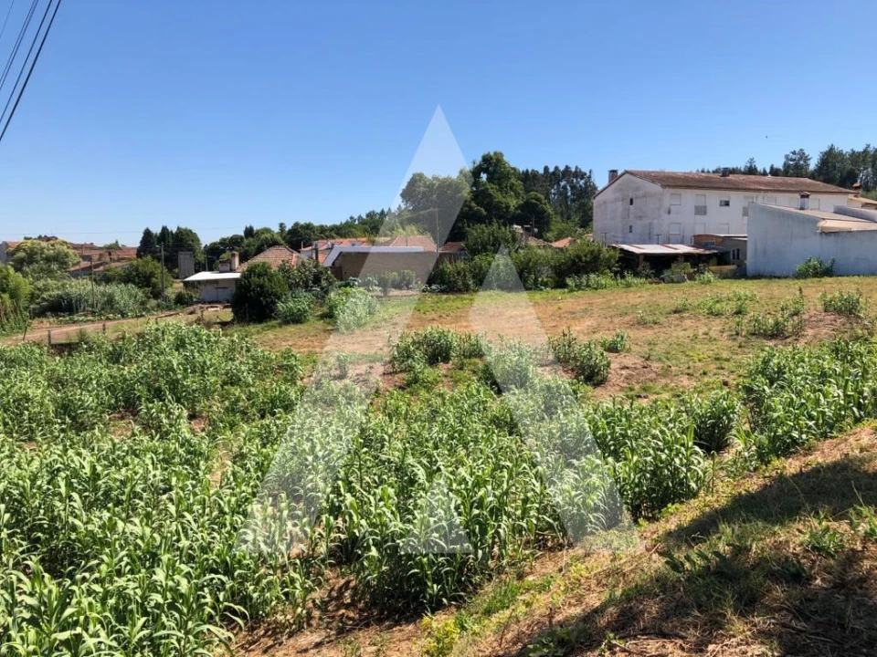 Terreno para Venda em Arcos e Mogofores Foto 5