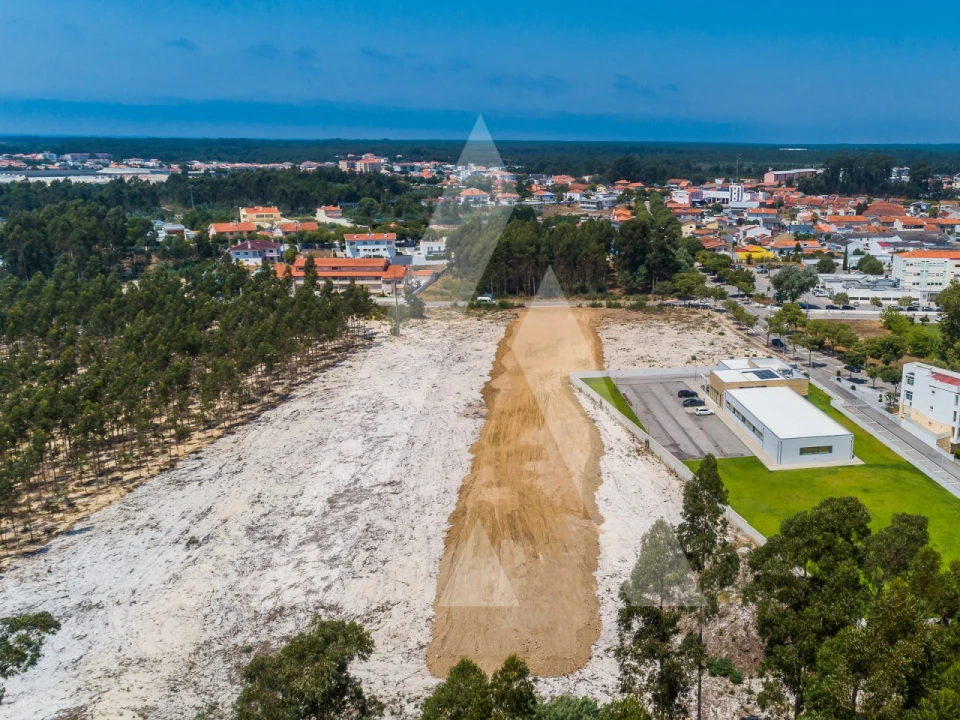 Terreno para Venda em Ovar, São João, Arada e São Vicente de Pereira Jusã Foto 12