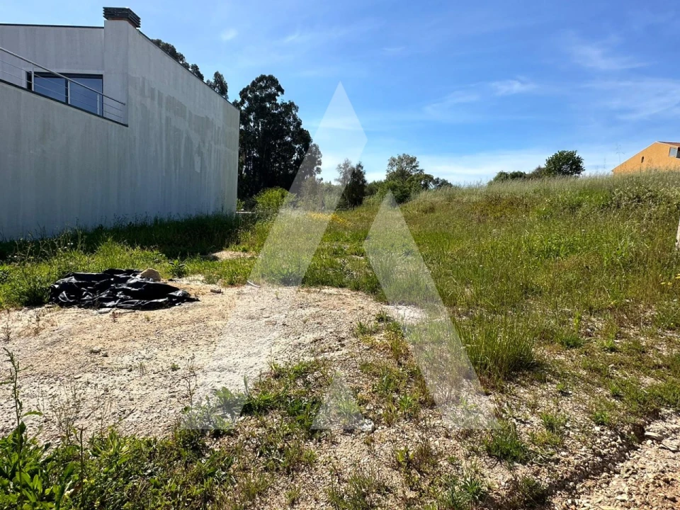 Terreno para Venda em Oiã Foto 1