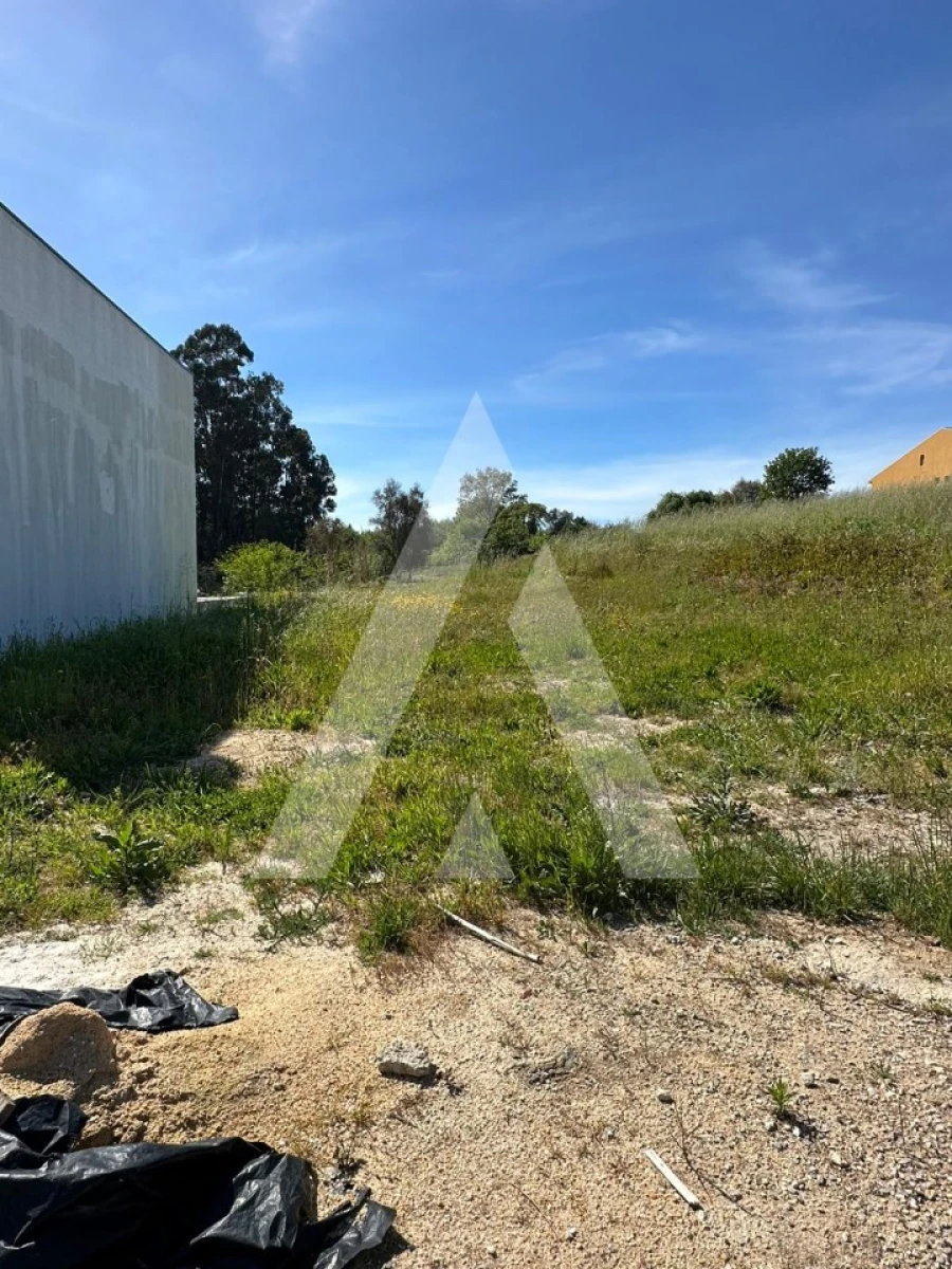Terreno para Venda em Oiã Foto 2