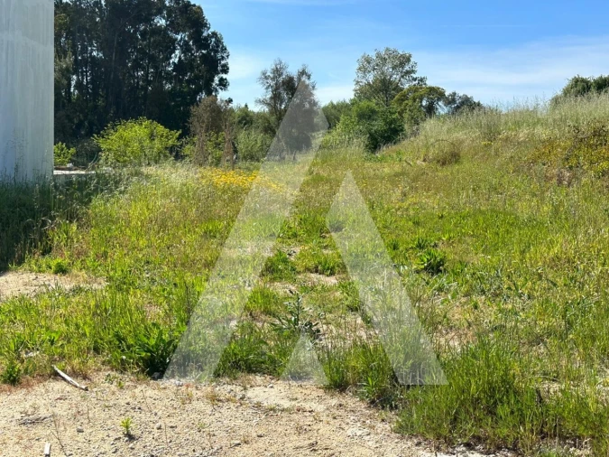 Terreno para Venda em Oiã Foto 3