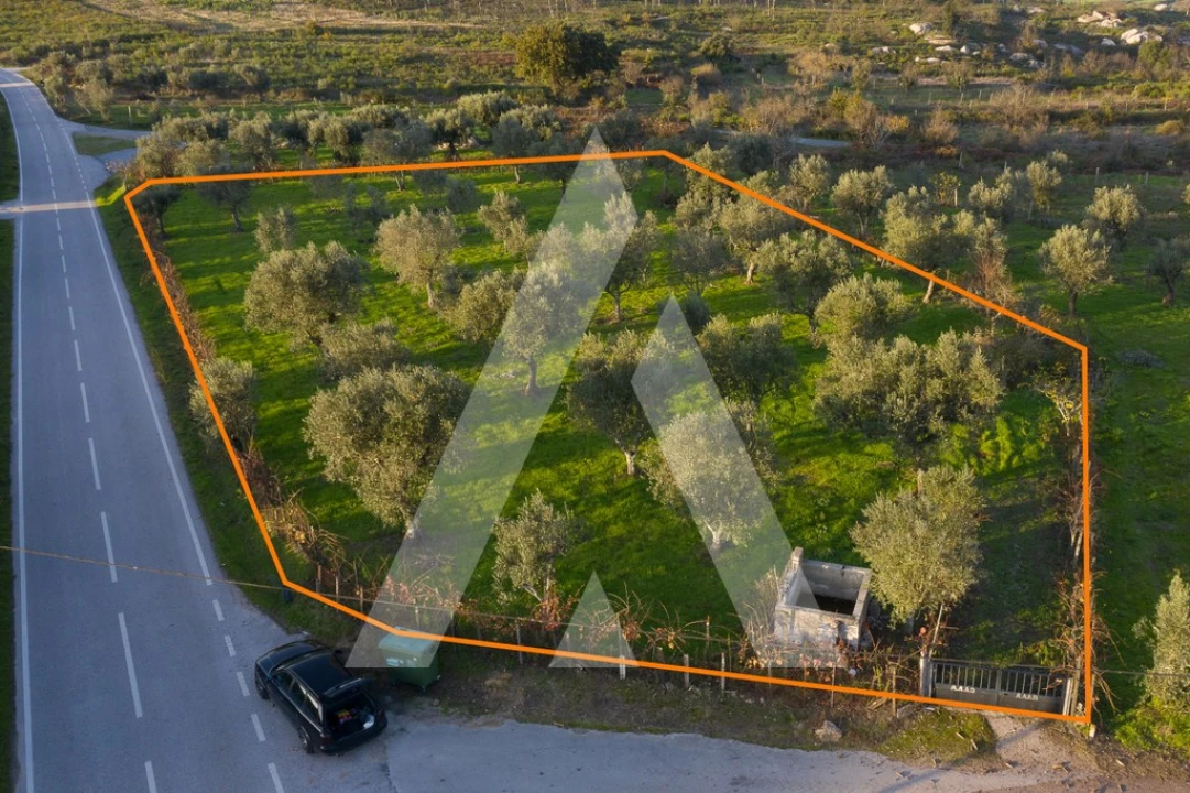 Terreno para Venda em Seixo da Beira Foto 2