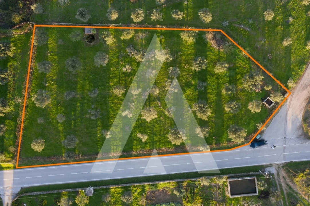 Terreno para Venda em Seixo da Beira Foto 3