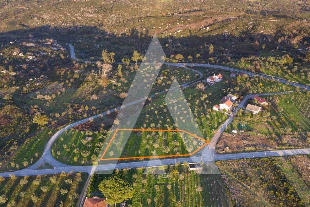 Terreno para Venda em Seixo da Beira Foto 4