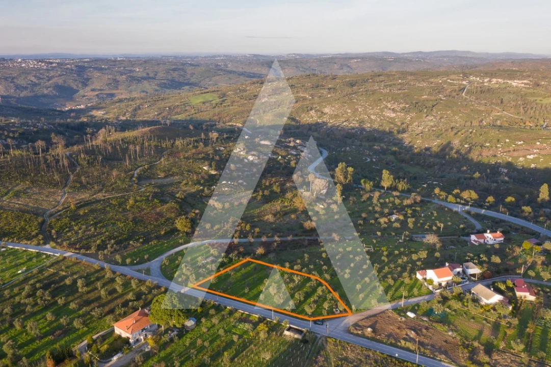 Terreno para Venda em Seixo da Beira Foto 6