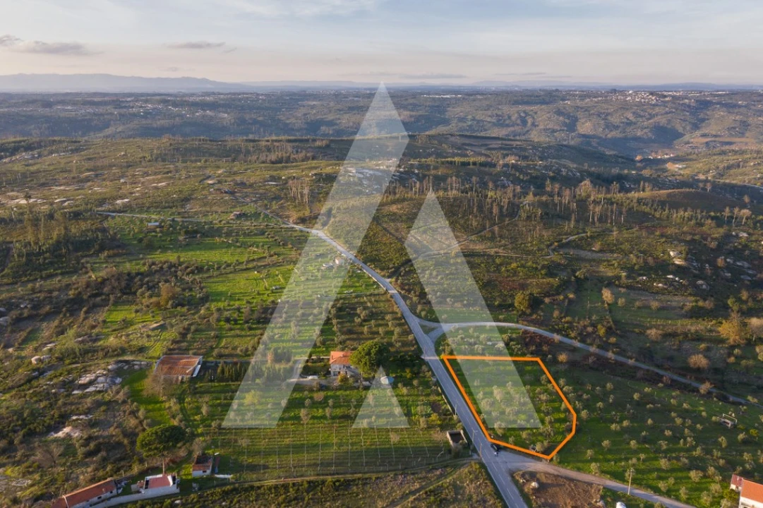 Terreno para Venda em Seixo da Beira Foto 7