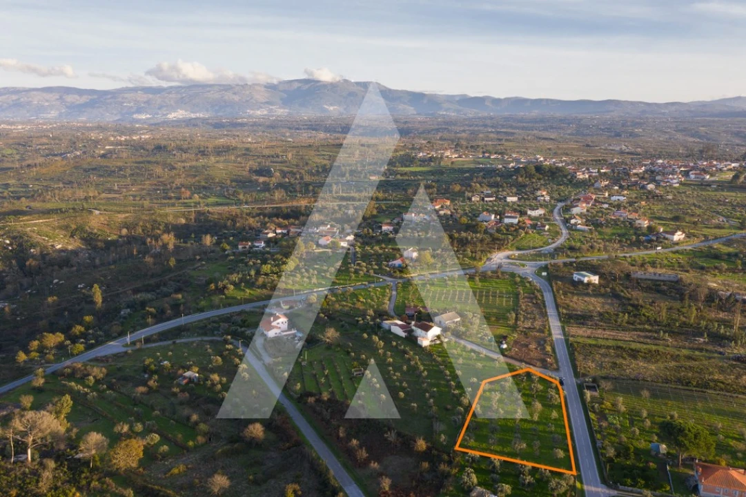 Terreno para Venda em Seixo da Beira Foto 8