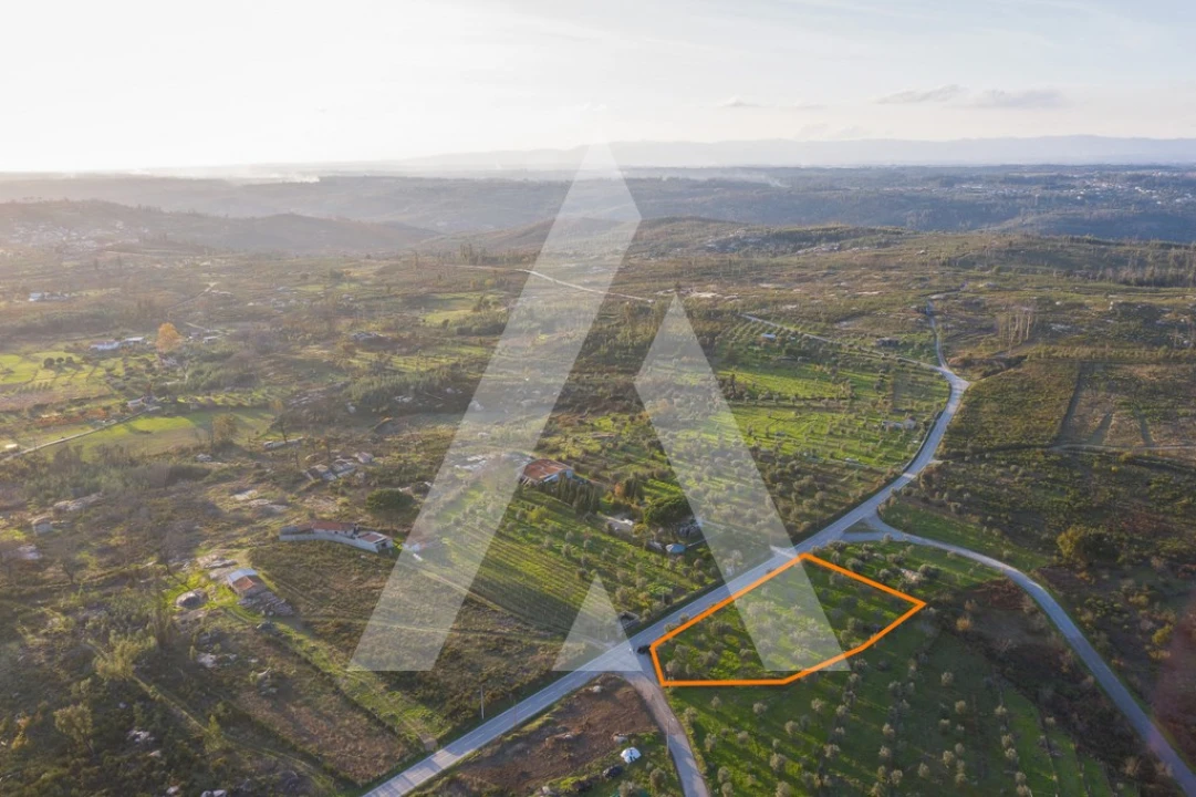 Terreno para Venda em Seixo da Beira Foto 9