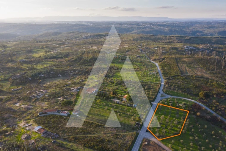 Terreno para Venda em Seixo da Beira Foto 5