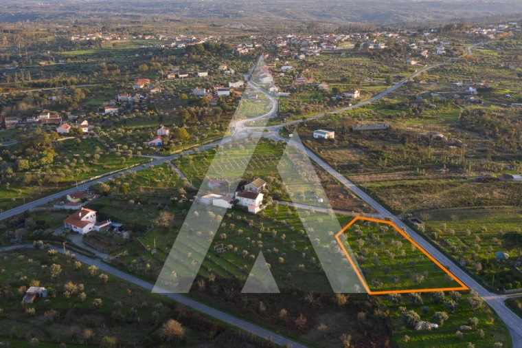 Terreno para Venda em Seixo da Beira