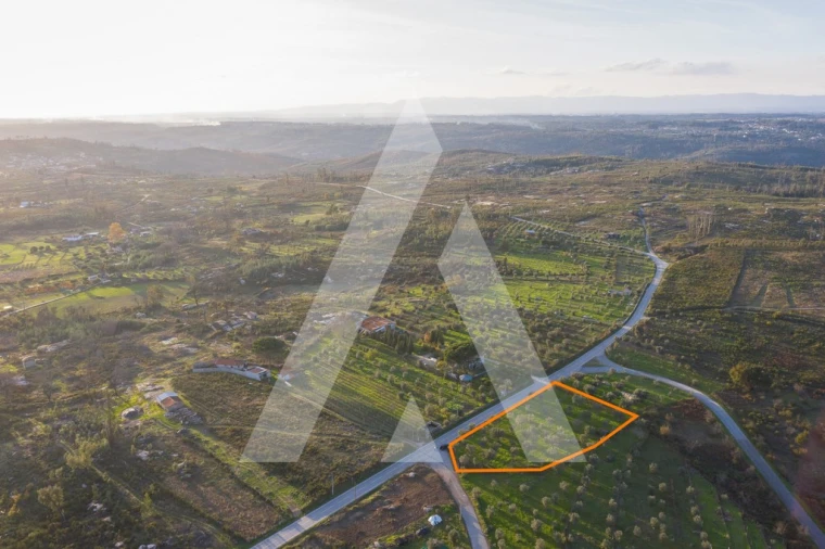 Terreno para Venda em Seixo da Beira Foto 9