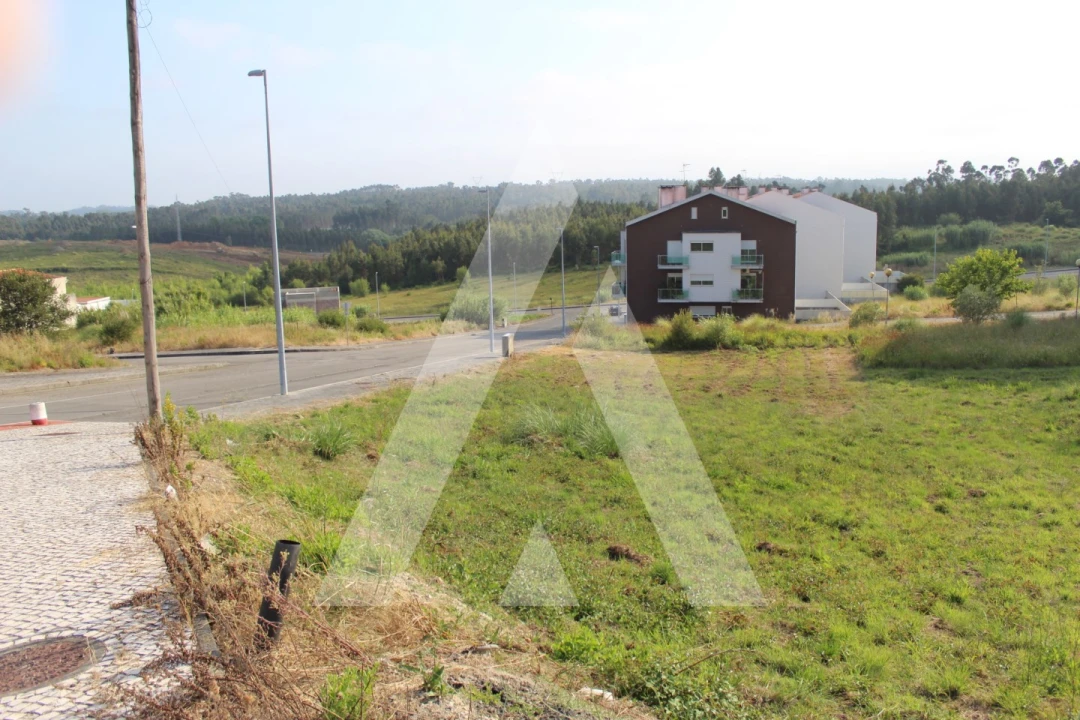 Terreno para Venda em Oliveira do Bairro Foto 11