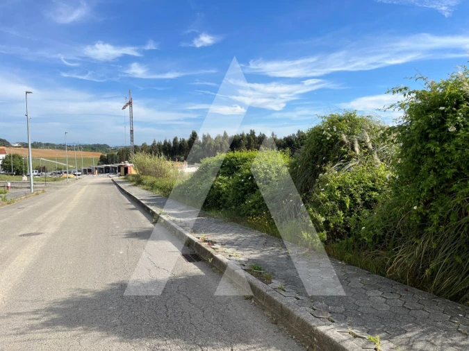 Terreno para Venda em Oliveira do Bairro Foto 2