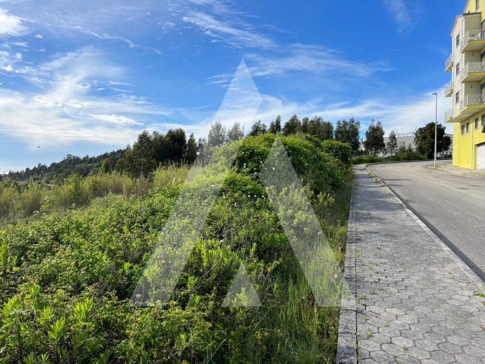 Terreno para Venda em Oliveira do Bairro Foto 5