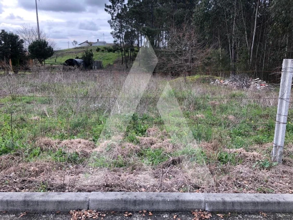 Terreno para Venda em Belazaima do Chão, Castanheira do Vouga e Agadão Foto 3
