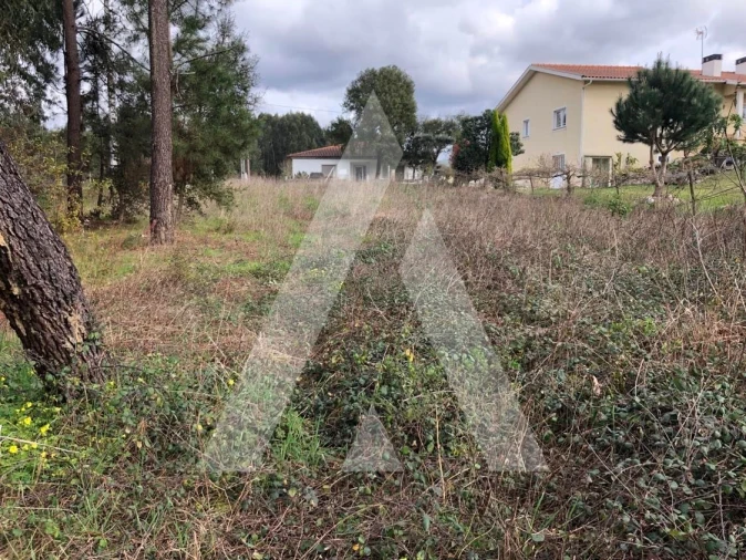 Terreno para Venda em Belazaima do Chão, Castanheira do Vouga e Agadão Foto 6