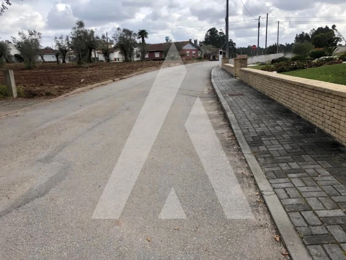 Terreno para Venda em Belazaima do Chão, Castanheira do Vouga e Agadão Foto 8