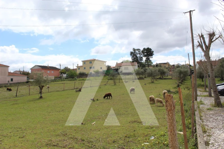 Terreno para Venda em Parceiros e Azoia Foto 7