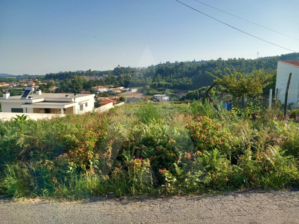 Terreno para Venda em Nogueira da Regedoura Foto 3