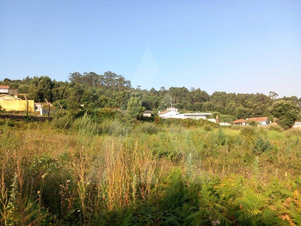 Terreno para Venda em Nogueira da Regedoura Foto 6
