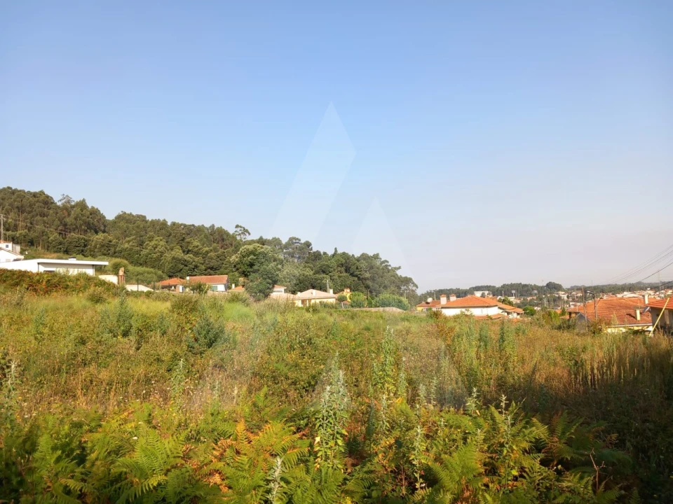 Terreno para Venda em Nogueira da Regedoura Foto 10